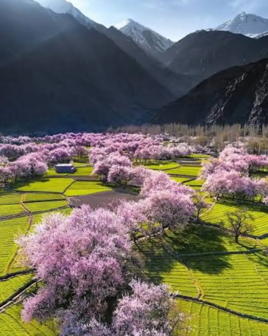 Gilgit